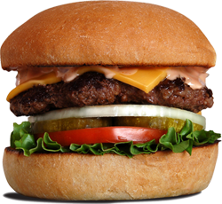 About America's Best Wings